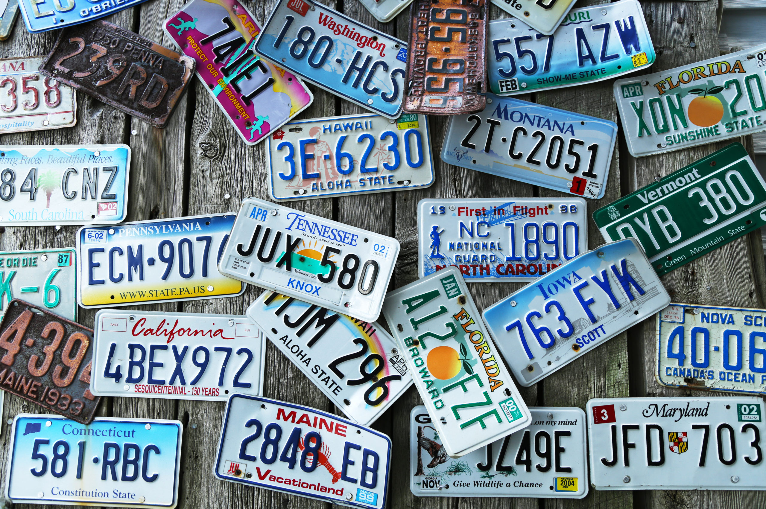 A collection of license plates used as a cover image for this report.